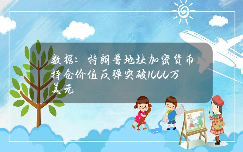 數據：特朗普地址加密貨幣持倉價值反彈突破1000萬美元