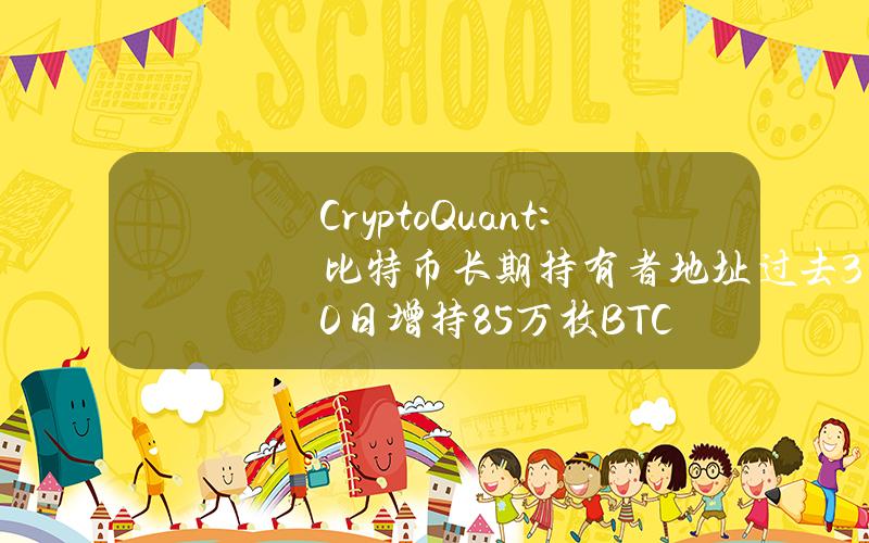 CryptoQuant：比特幣長期持有者地址過去30日增持8.5萬枚BTC