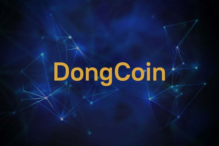 DongCoin解密：深入探究韓國的模因幣革命