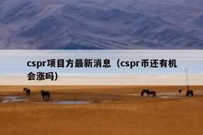 CSPR幣能買嗎（cspr幣未來前景）