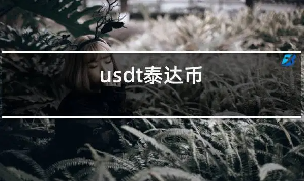 usdt是什麽幣（泰達幣USDT是什麽意思）